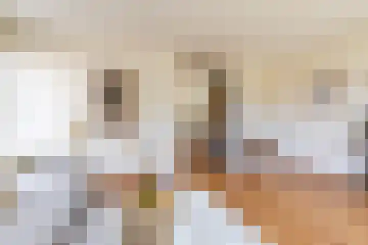 Patrijs 14 Grijpskerk thumbnail 5