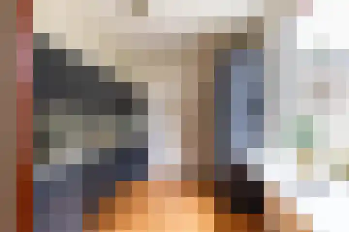 Patrijs 14 Grijpskerk thumbnail 9