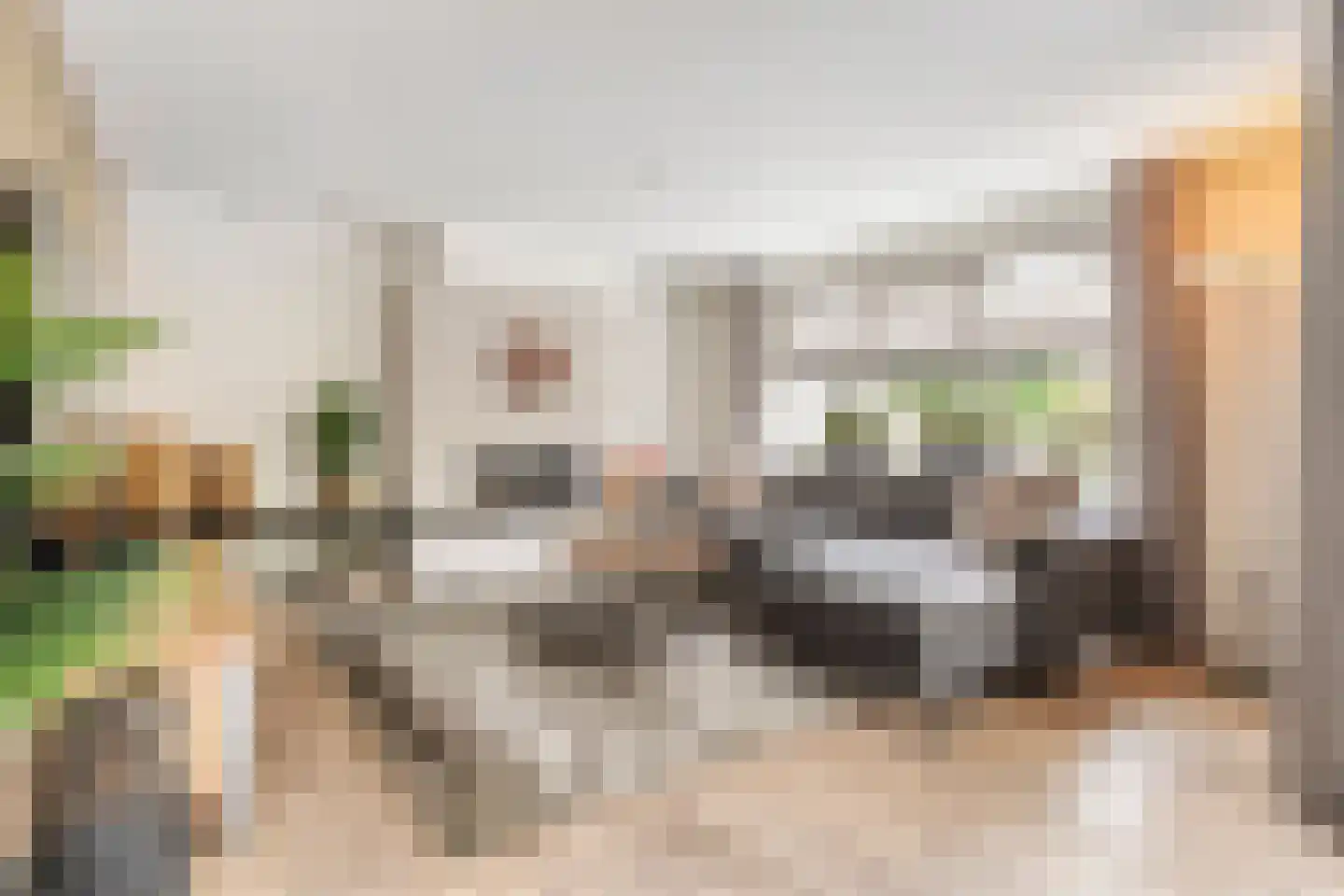 Patrijs 15 Raalte thumbnail 11