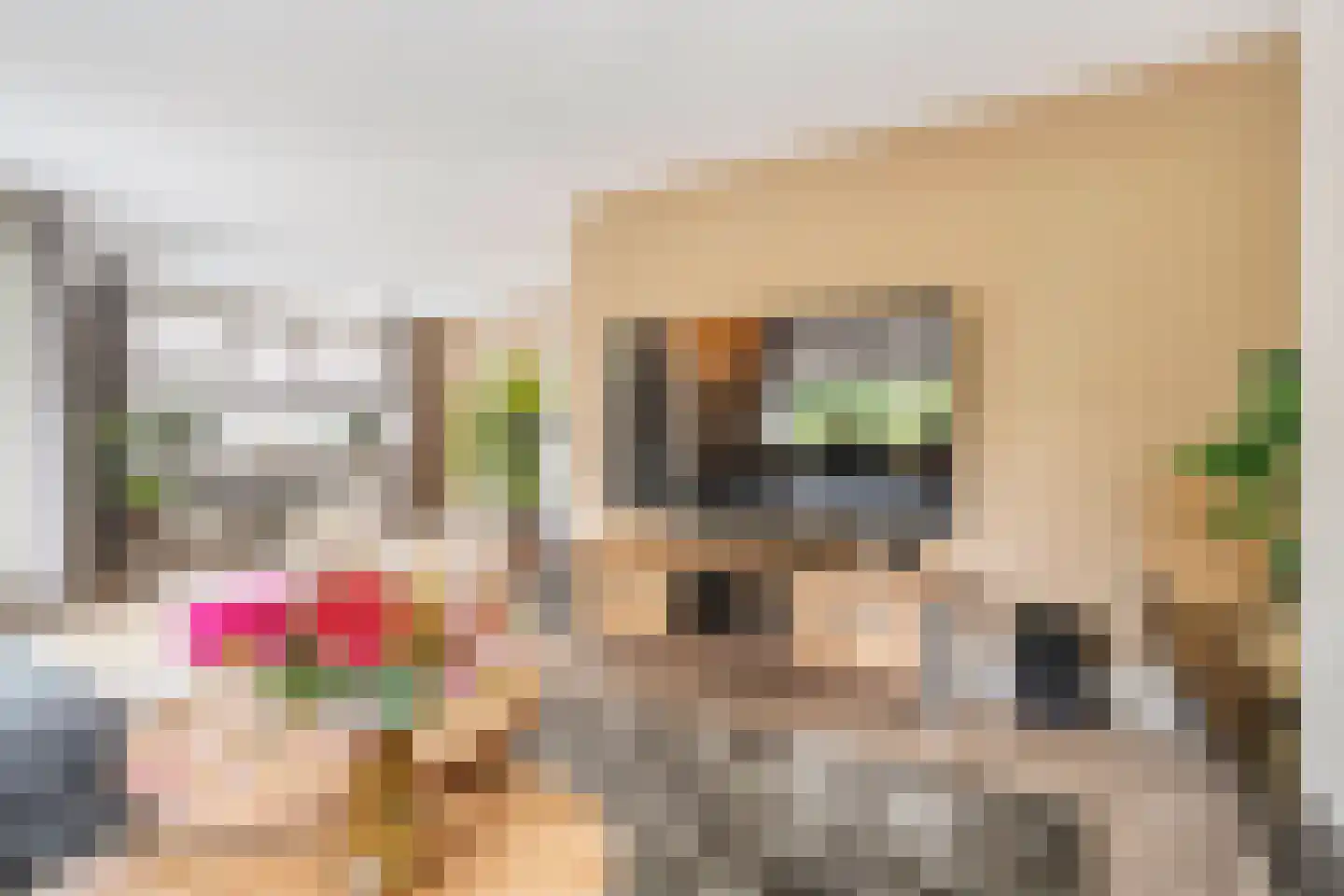 Patrijs 15 Raalte thumbnail 13