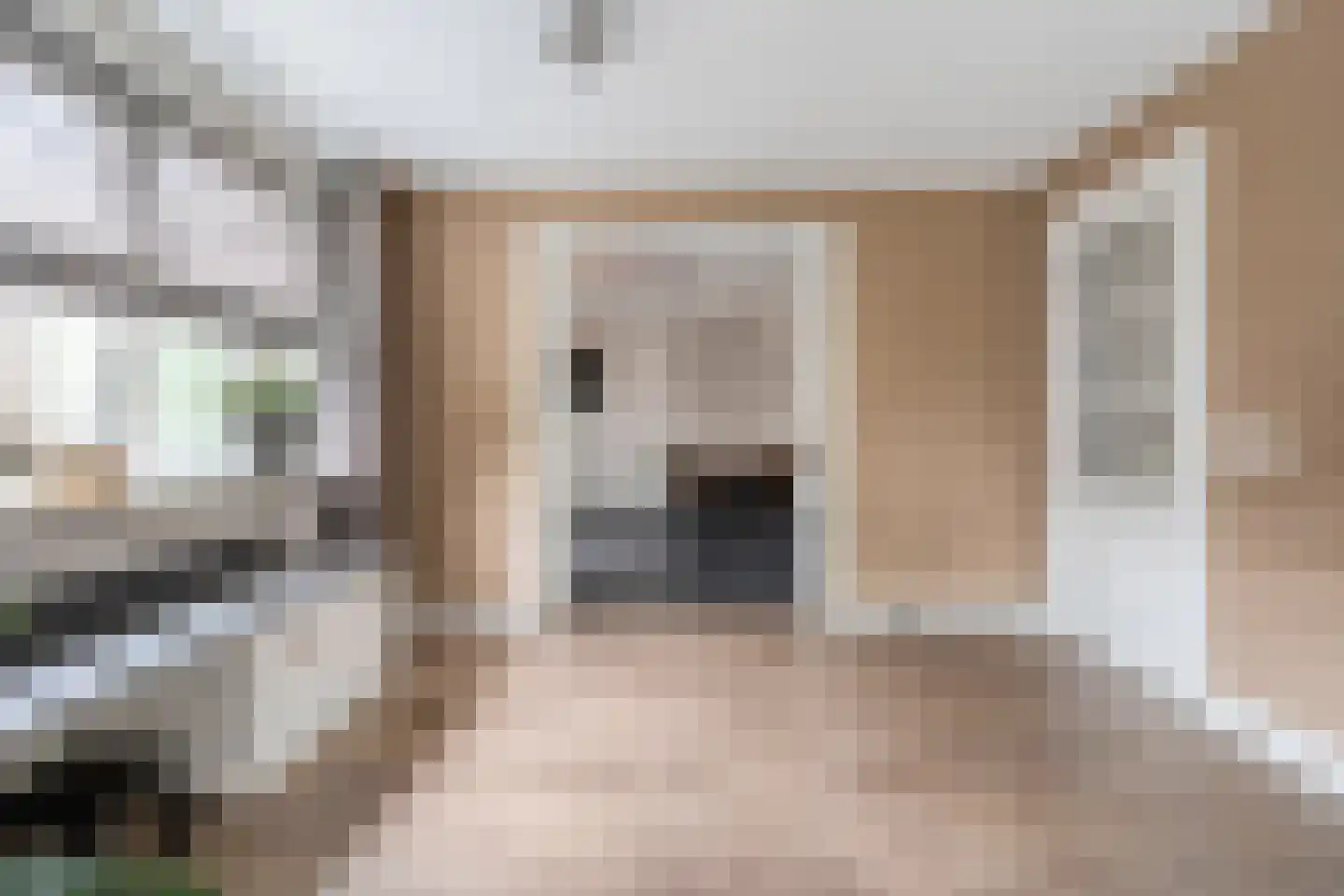 Patrijs 15 Raalte thumbnail 18