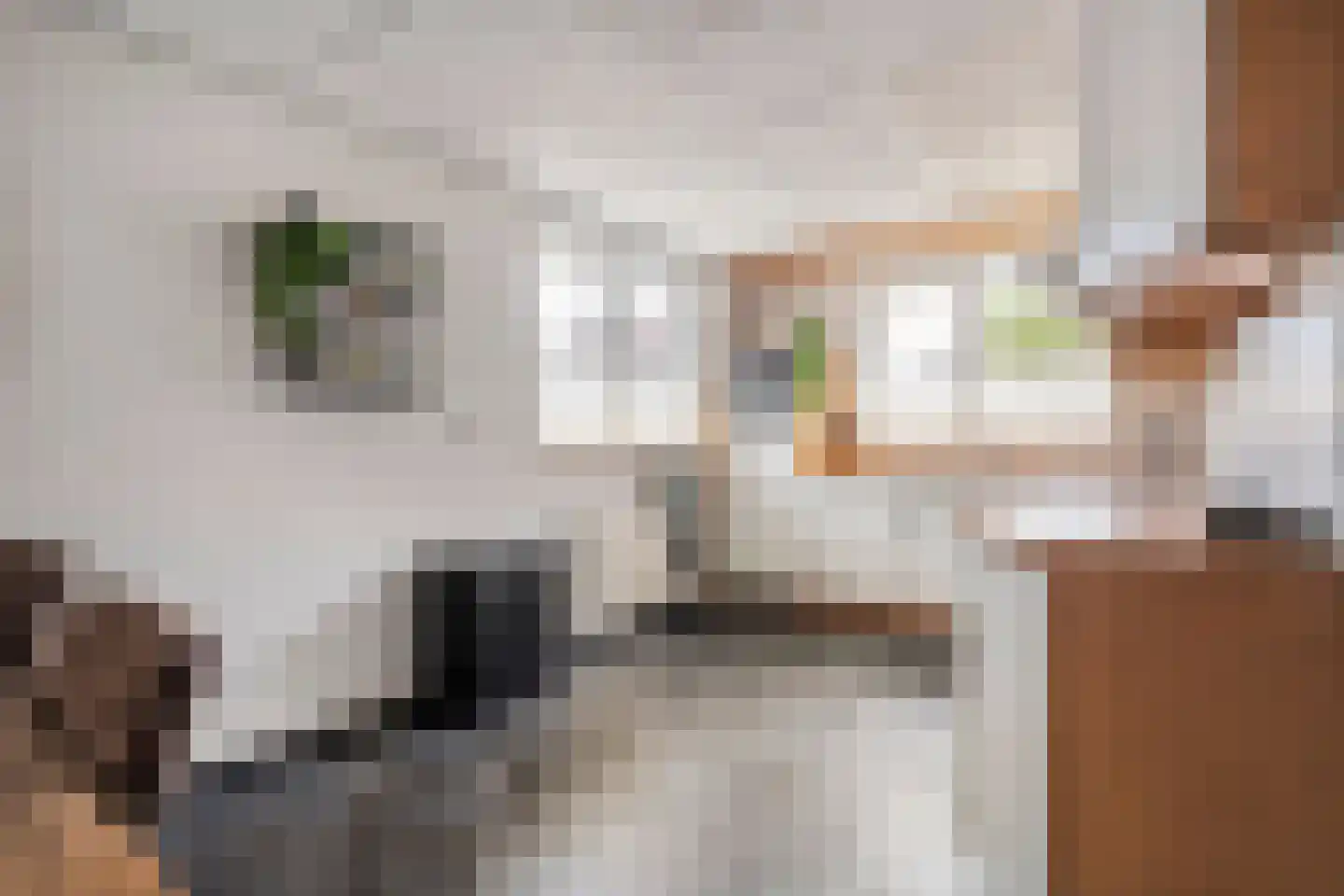 Patrijs 15 Raalte thumbnail 21