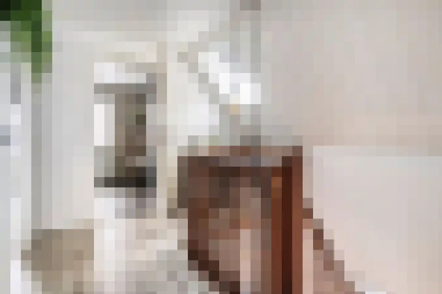 Patrijs 15 Raalte thumbnail 24