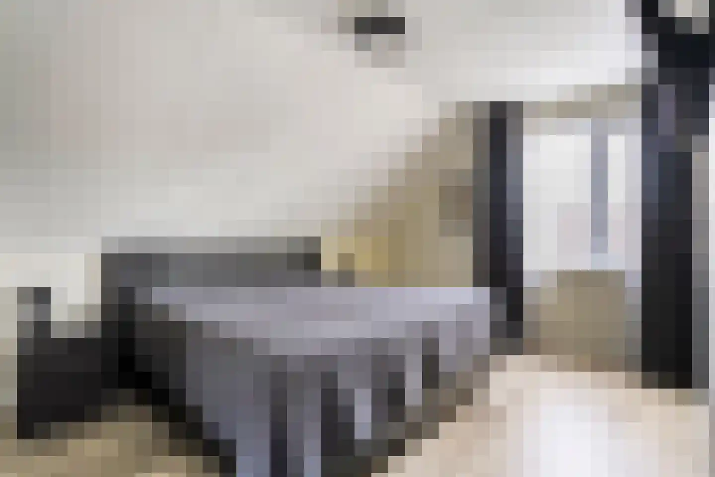Patrijs 15 Raalte thumbnail 26