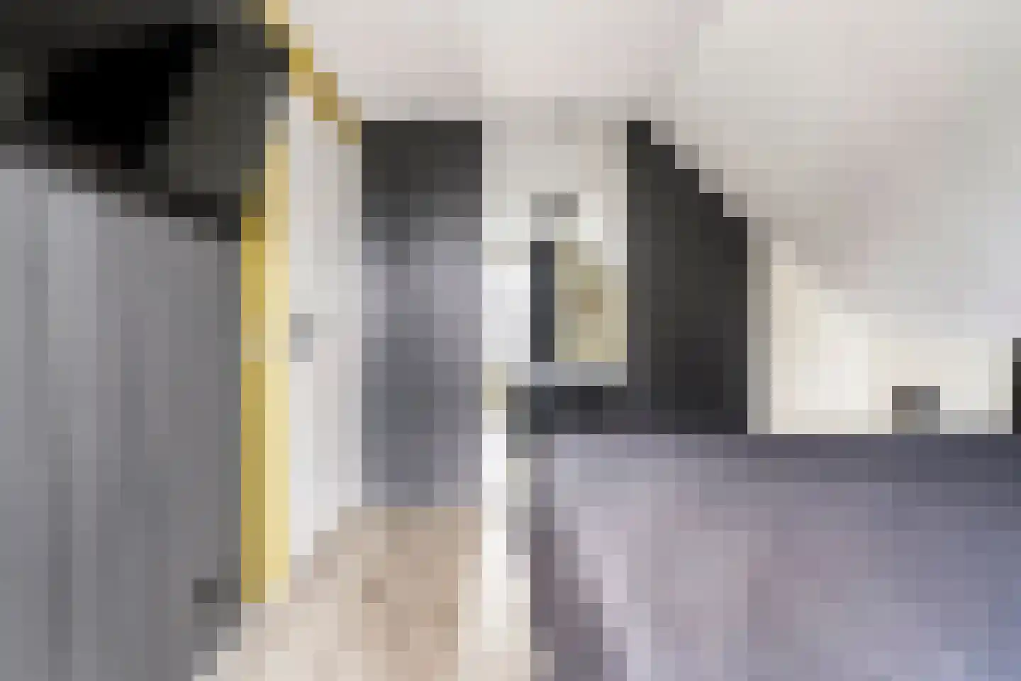 Patrijs 15 Raalte thumbnail 27