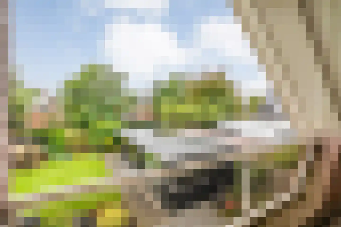 Patrijs 15 Raalte thumbnail 28