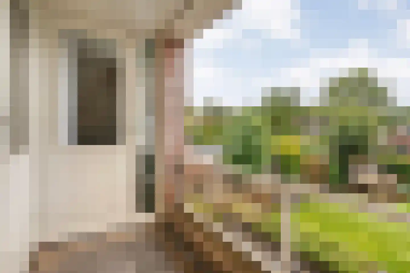 Patrijs 15 Raalte thumbnail 29