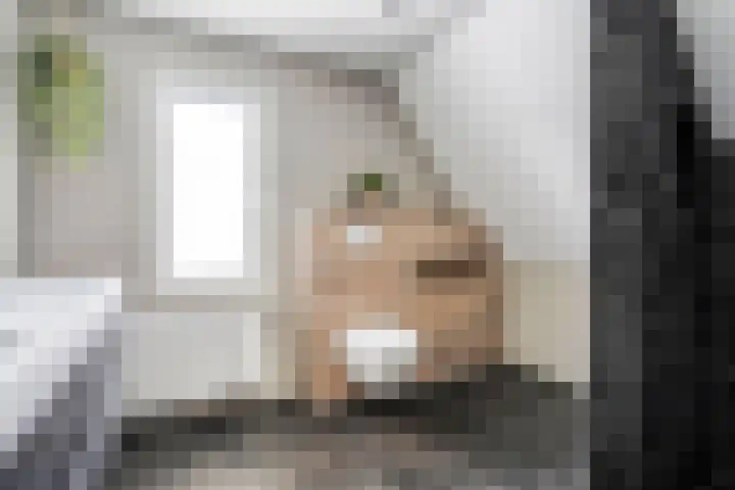 Patrijs 15 Raalte thumbnail 34