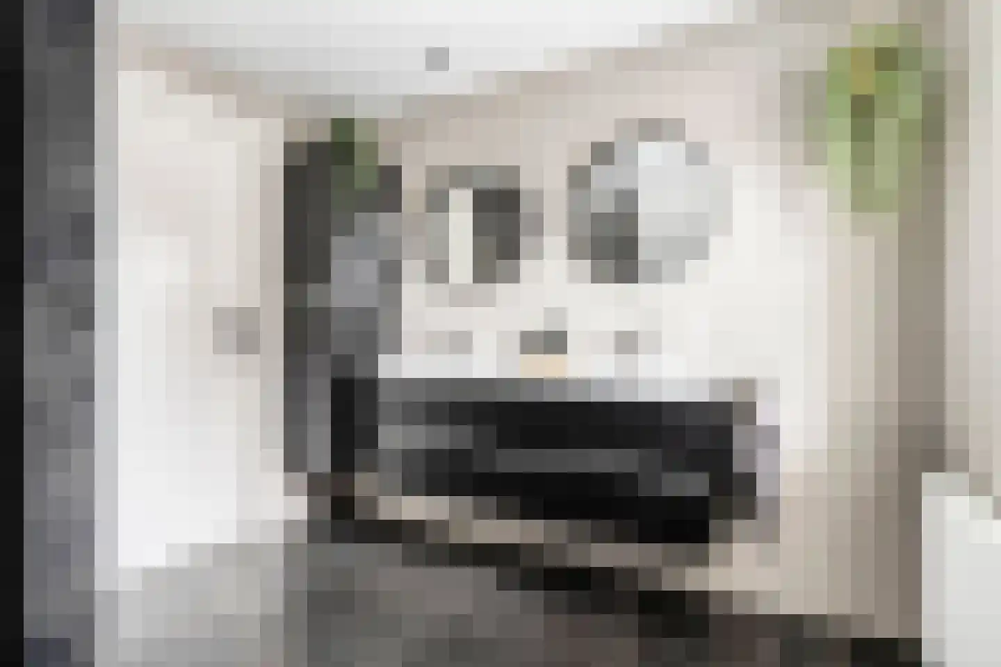 Patrijs 15 Raalte thumbnail 35