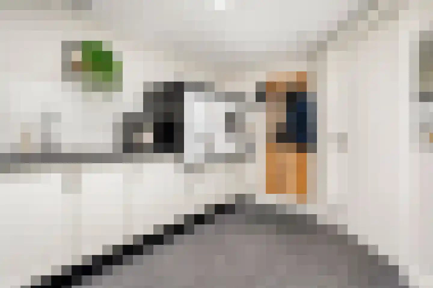 Patrijs 15 Raalte thumbnail 37