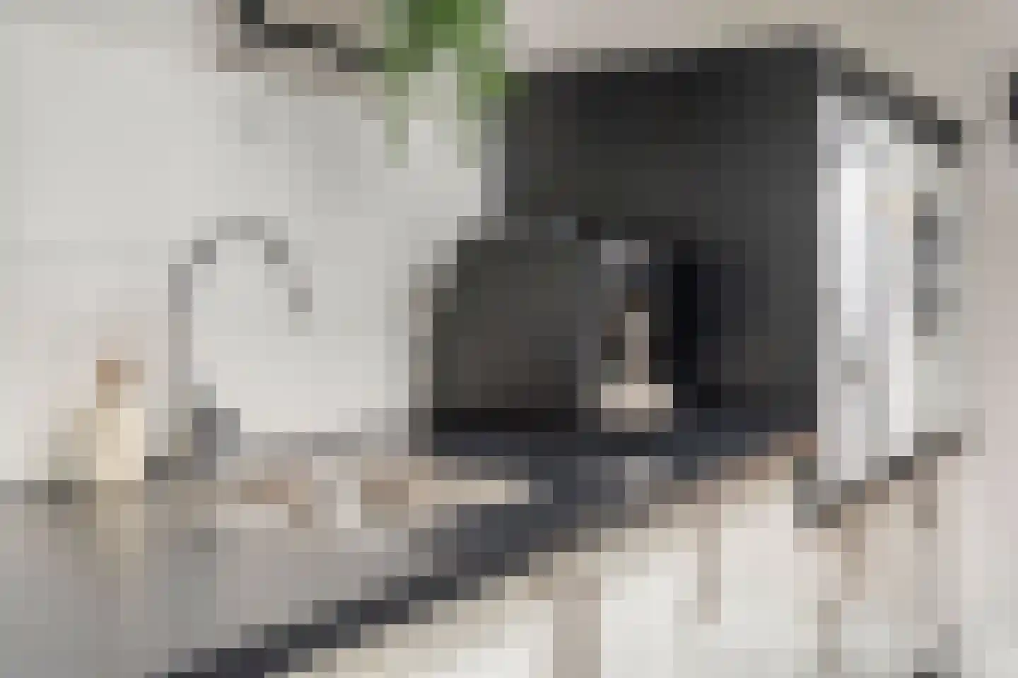 Patrijs 15 Raalte thumbnail 38