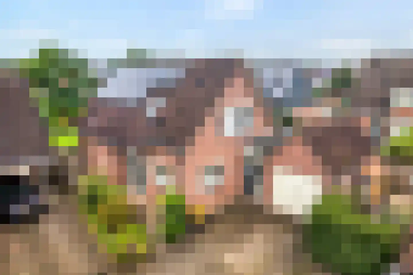 Patrijs 15 Raalte thumbnail 4