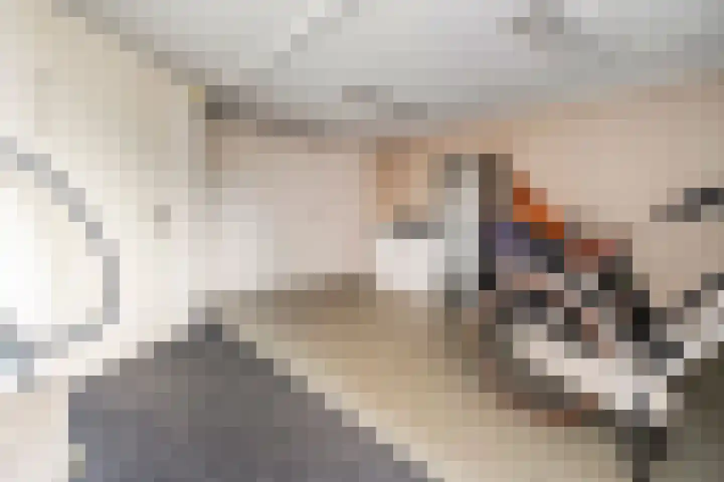 Patrijs 15 Raalte thumbnail 40