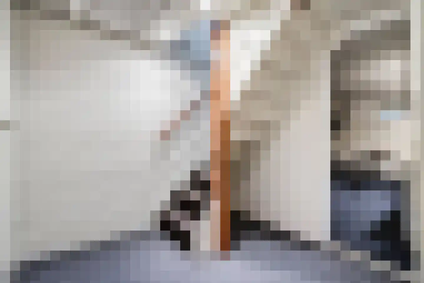 Patrijs 15 Raalte thumbnail 42