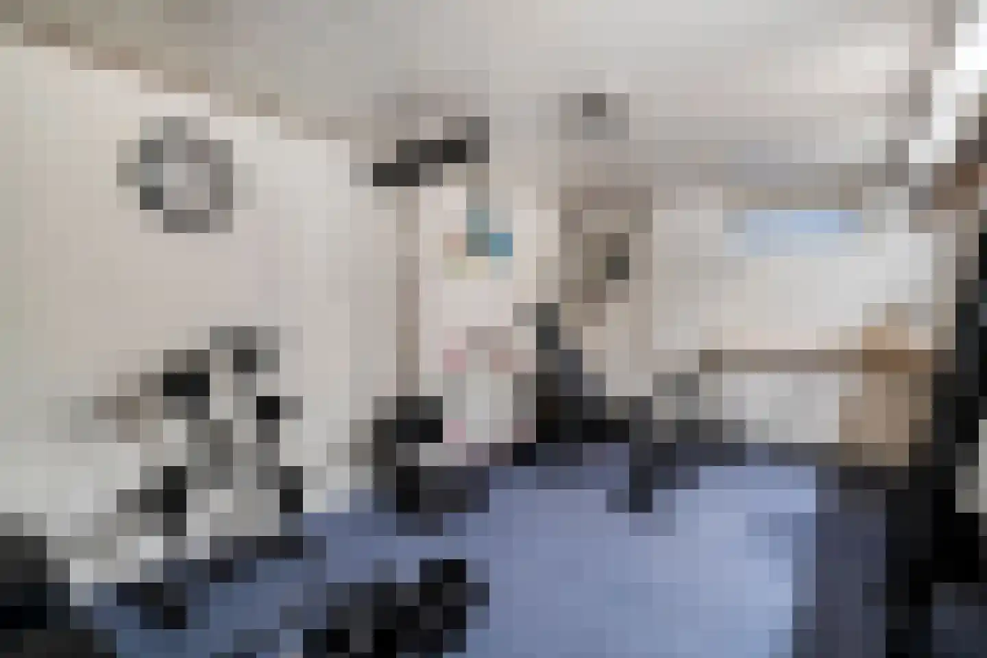 Patrijs 15 Raalte thumbnail 43