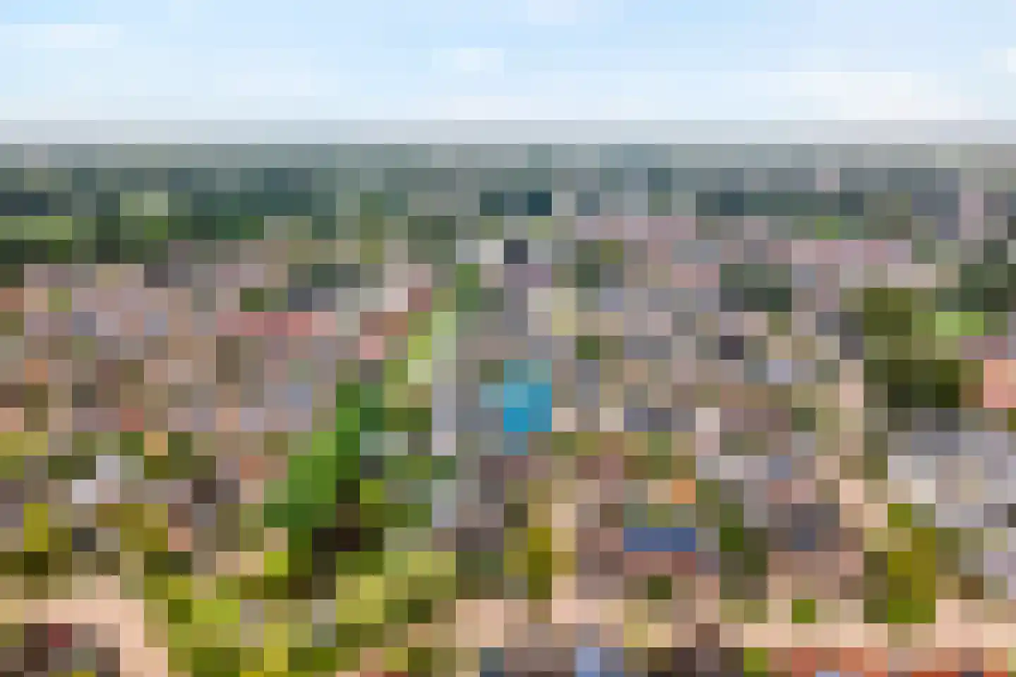 Patrijs 15 Raalte thumbnail 5