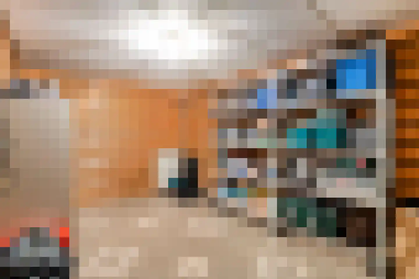 Patrijs 15 Raalte thumbnail 51