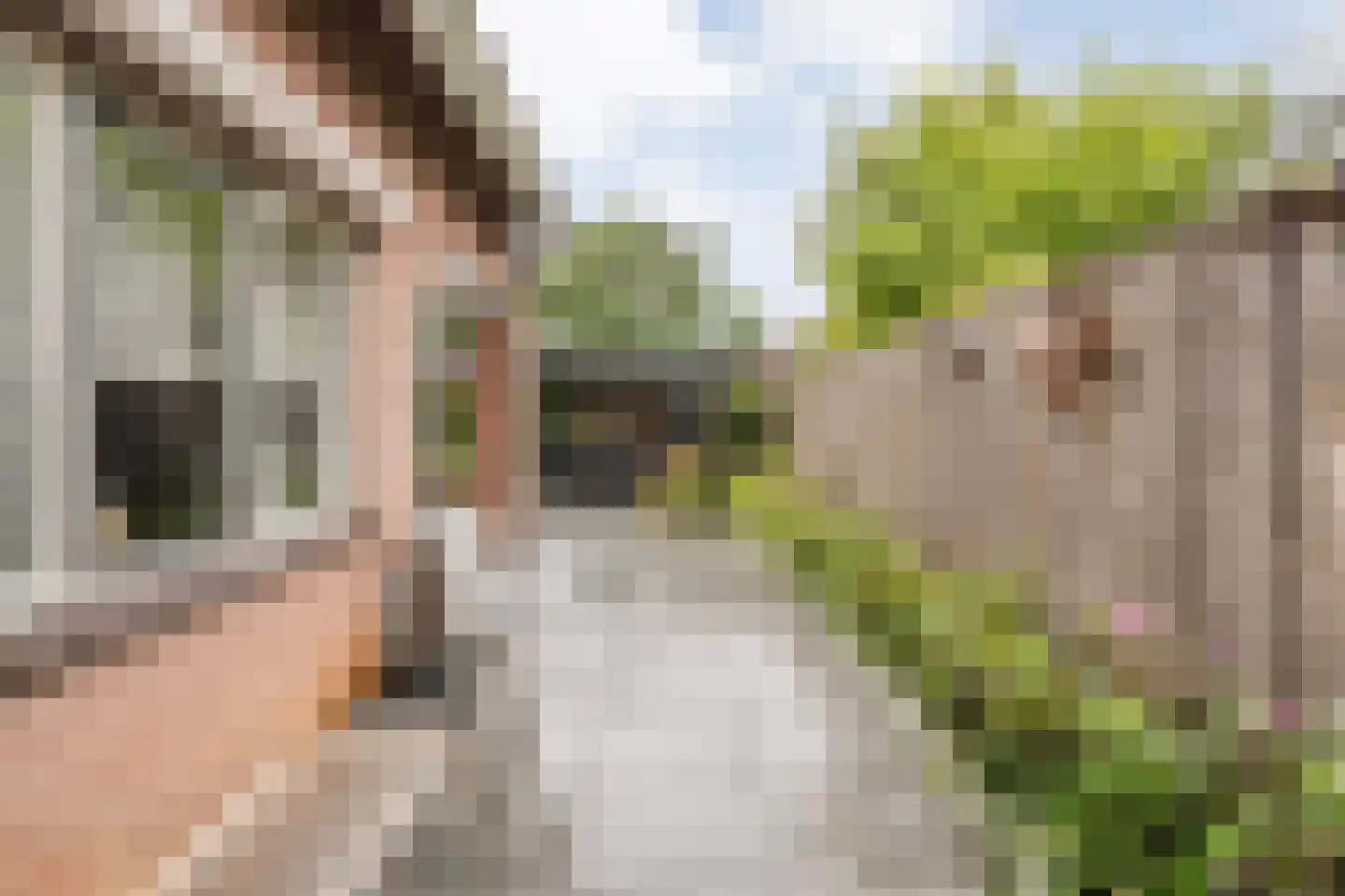 Patrijs 15 Raalte thumbnail 56