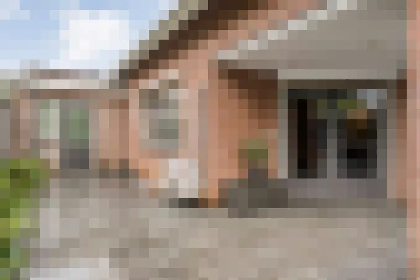 Patrijs 15 Raalte thumbnail 57