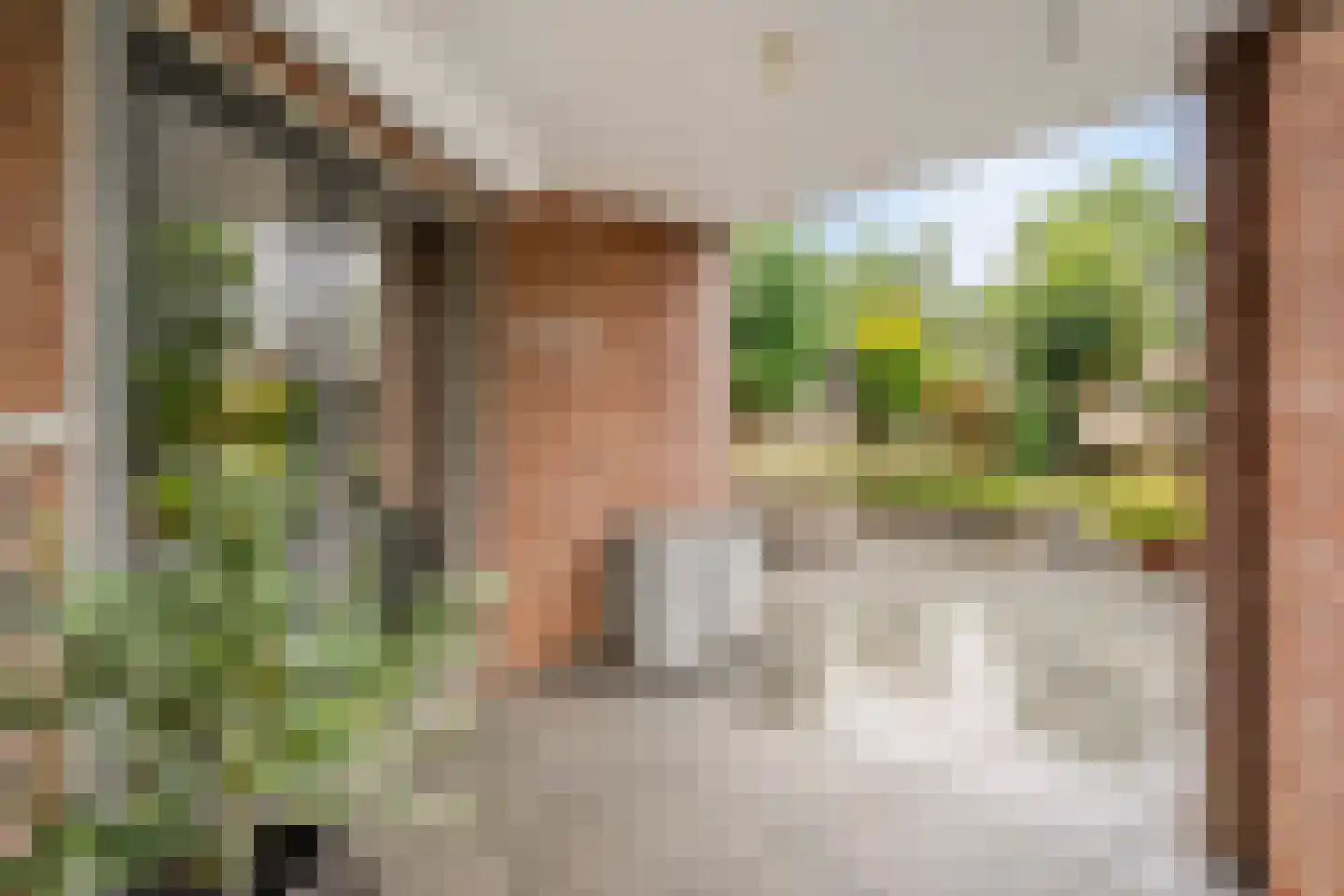 Patrijs 15 Raalte thumbnail 58