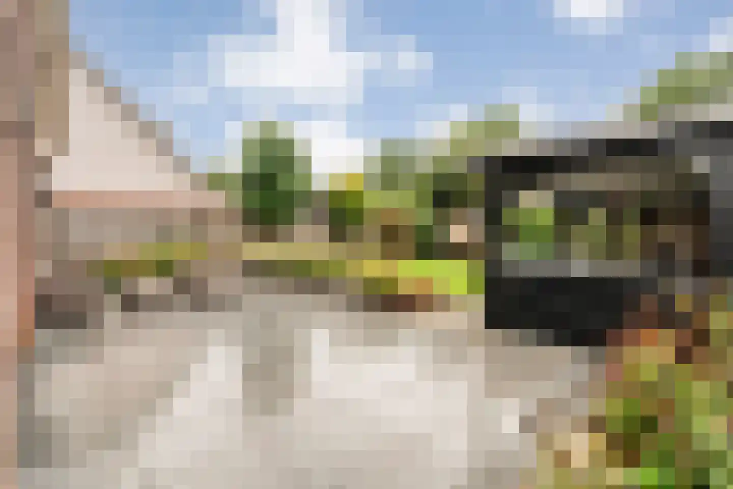 Patrijs 15 Raalte thumbnail 59