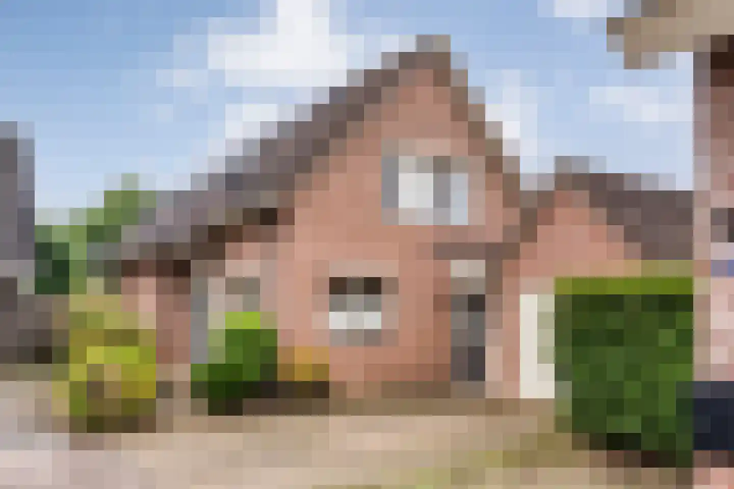 Patrijs 15 Raalte thumbnail 6