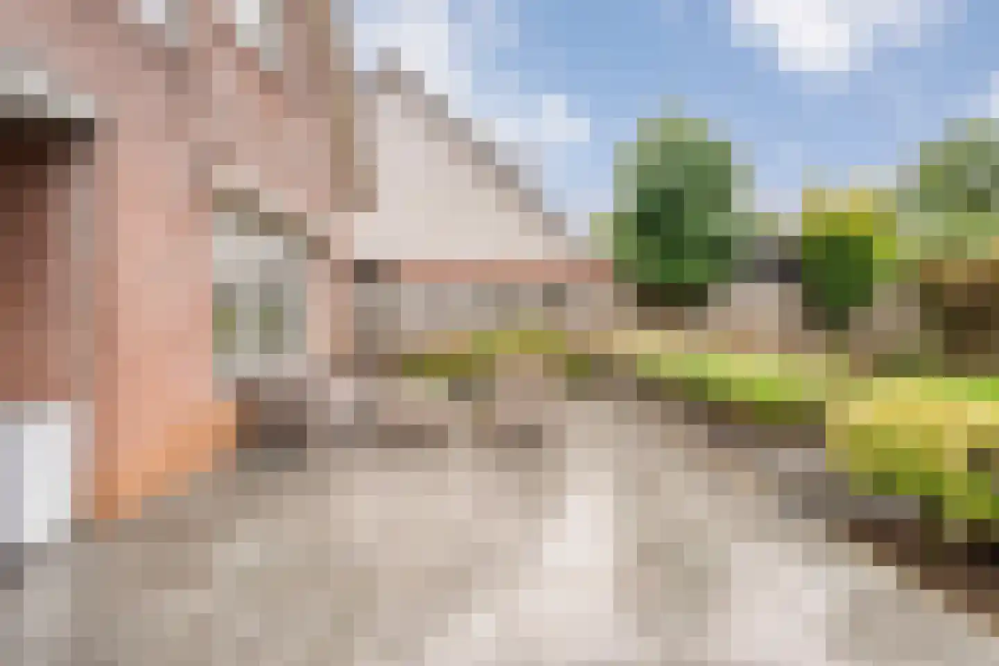 Patrijs 15 Raalte thumbnail 60