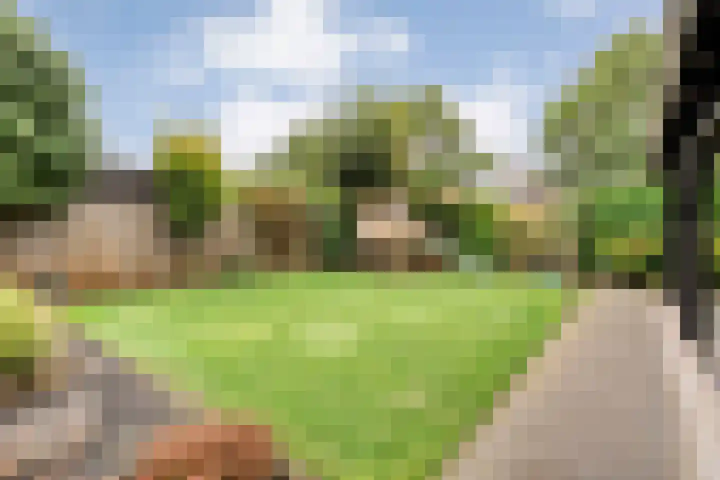 Patrijs 15 Raalte thumbnail 61