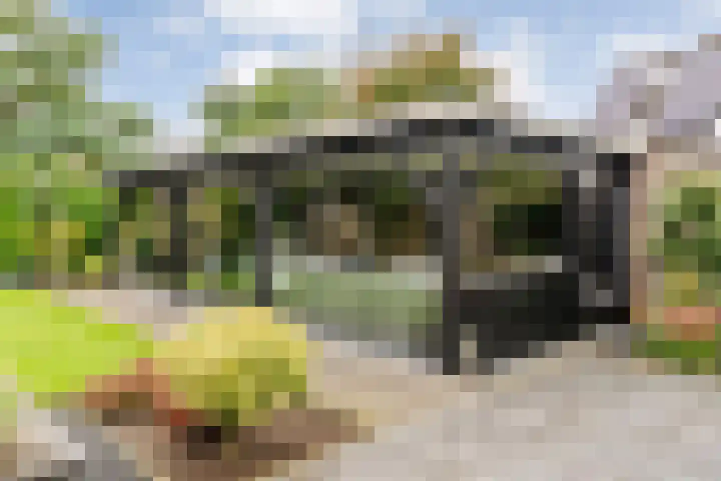Patrijs 15 Raalte thumbnail 63