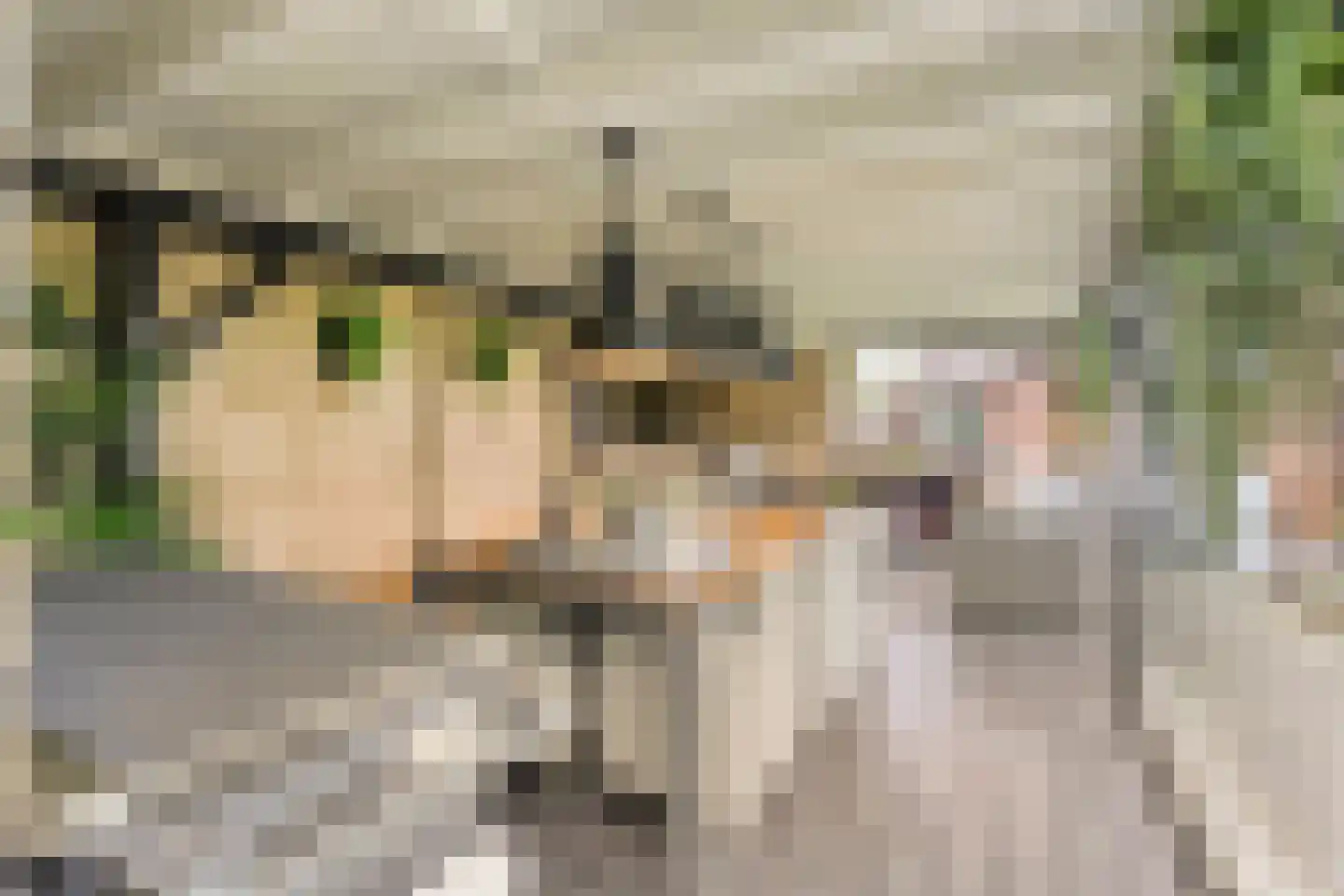Patrijs 15 Raalte thumbnail 64
