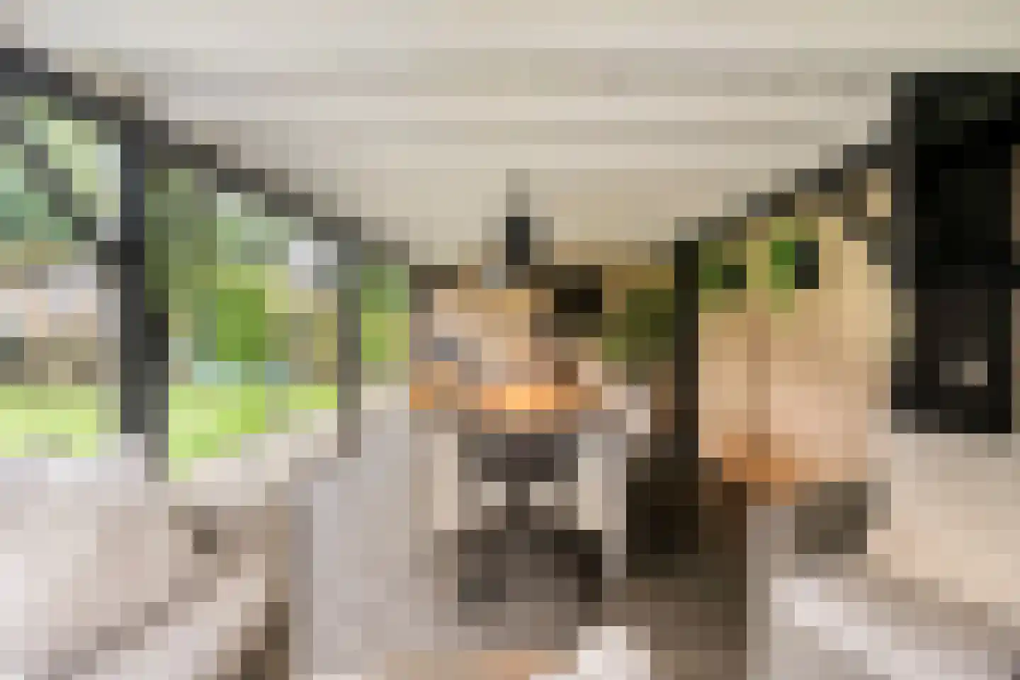 Patrijs 15 Raalte thumbnail 66