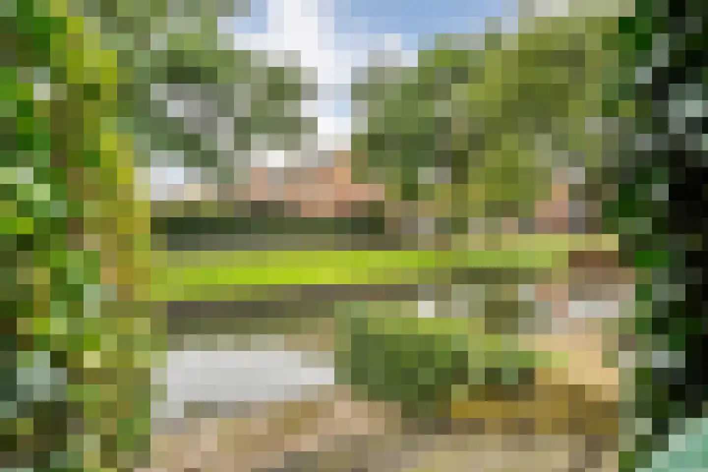 Patrijs 15 Raalte thumbnail 67