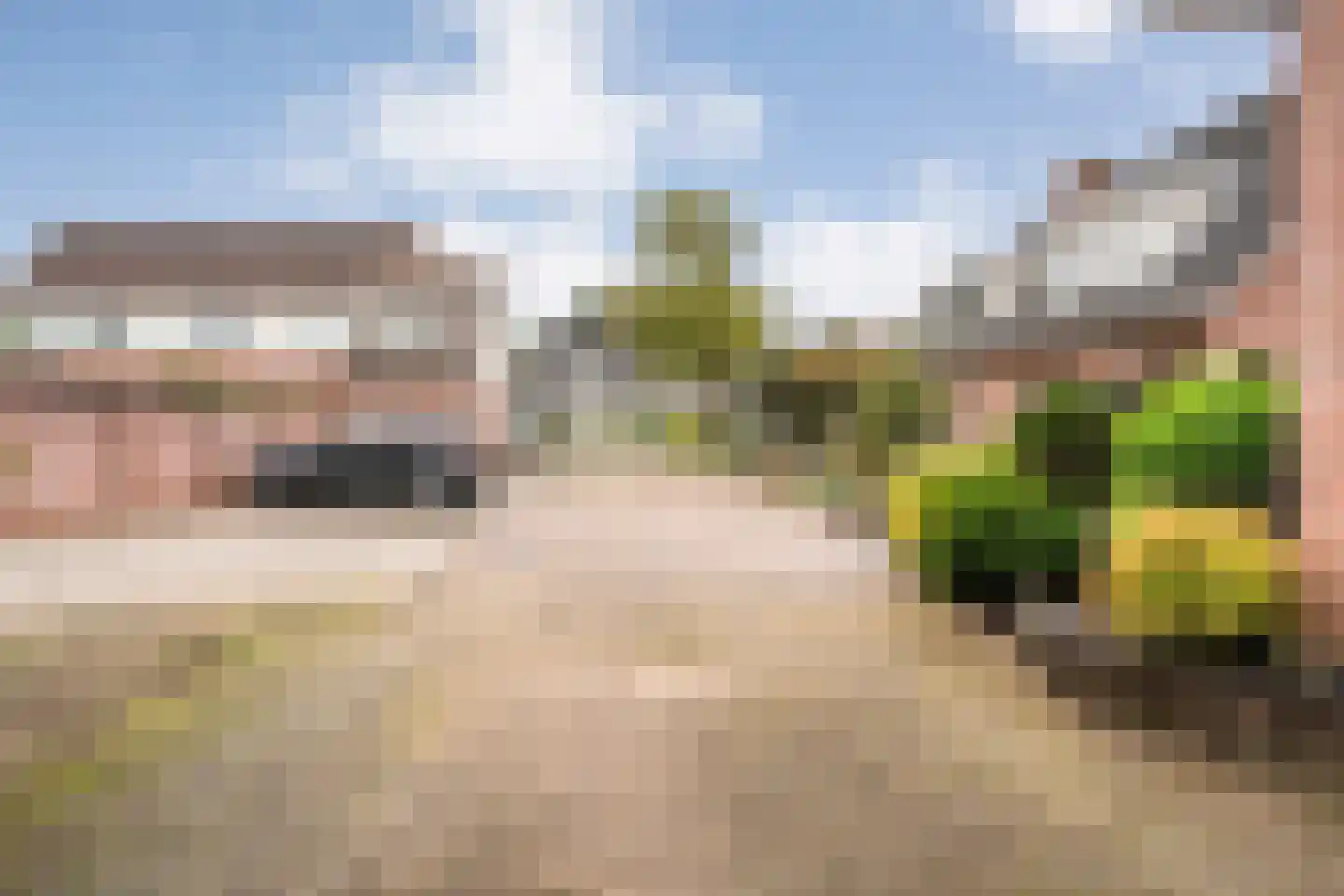 Patrijs 15 Raalte thumbnail 68