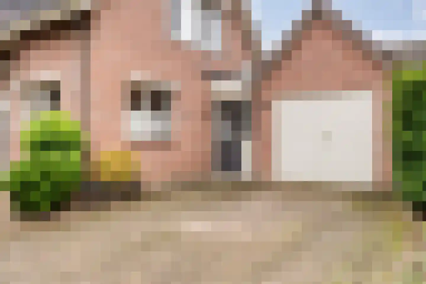 Patrijs 15 Raalte thumbnail 7