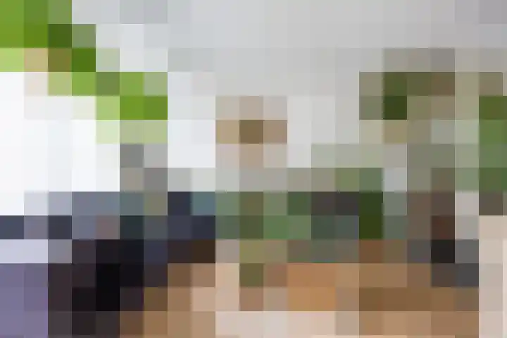 Patrijs 16 Grijpskerk thumbnail 10