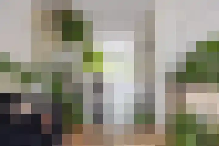 Patrijs 16 Grijpskerk thumbnail 11