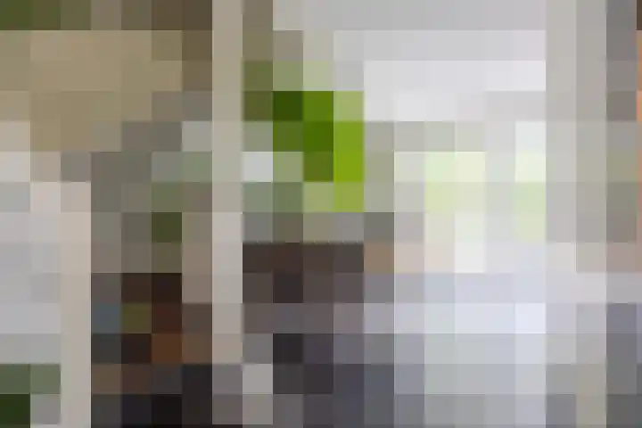 Patrijs 16 Grijpskerk thumbnail 12