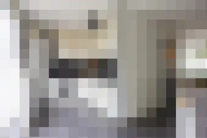 Patrijs 16 Grijpskerk thumbnail 13