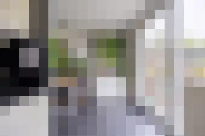 Patrijs 16 Grijpskerk thumbnail 15