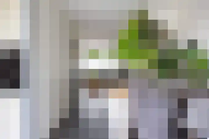 Patrijs 16 Grijpskerk thumbnail 16