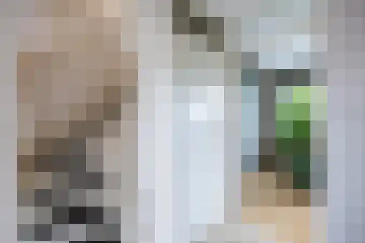 Patrijs 16 Grijpskerk thumbnail 17
