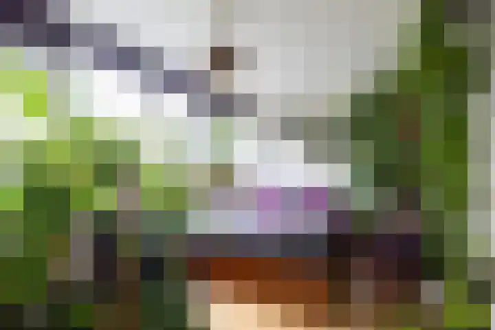 Patrijs 16 Grijpskerk thumbnail 18