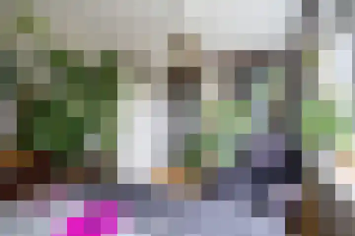Patrijs 16 Grijpskerk thumbnail 19