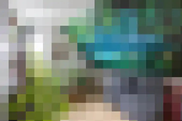 Patrijs 16 Grijpskerk thumbnail 21