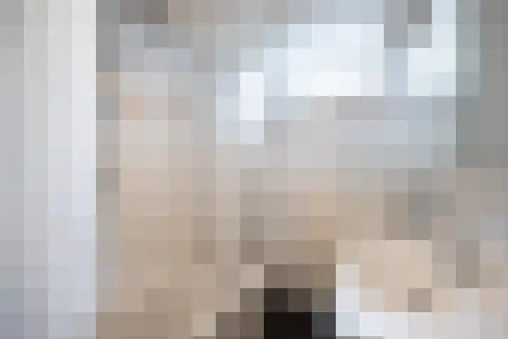 Patrijs 16 Grijpskerk thumbnail 22