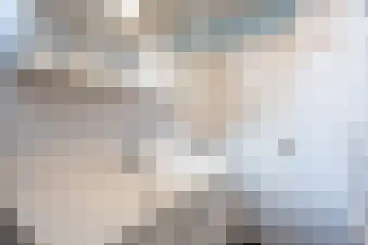 Patrijs 16 Grijpskerk thumbnail 23