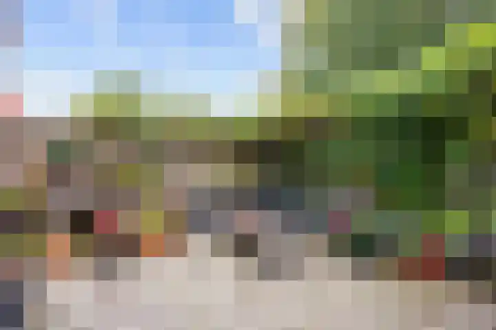 Patrijs 16 Grijpskerk thumbnail 26