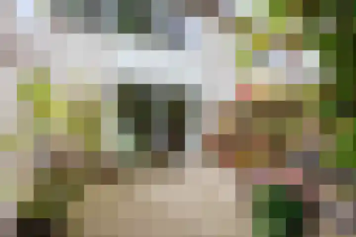 Patrijs 16 Grijpskerk thumbnail 27