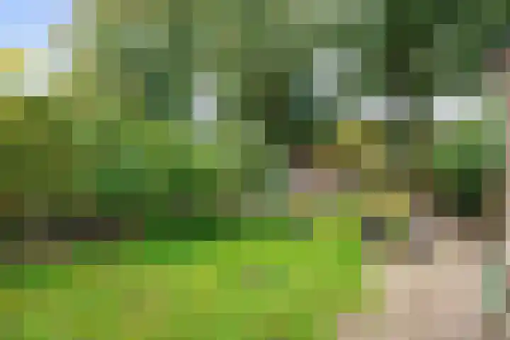 Patrijs 16 Grijpskerk thumbnail 28