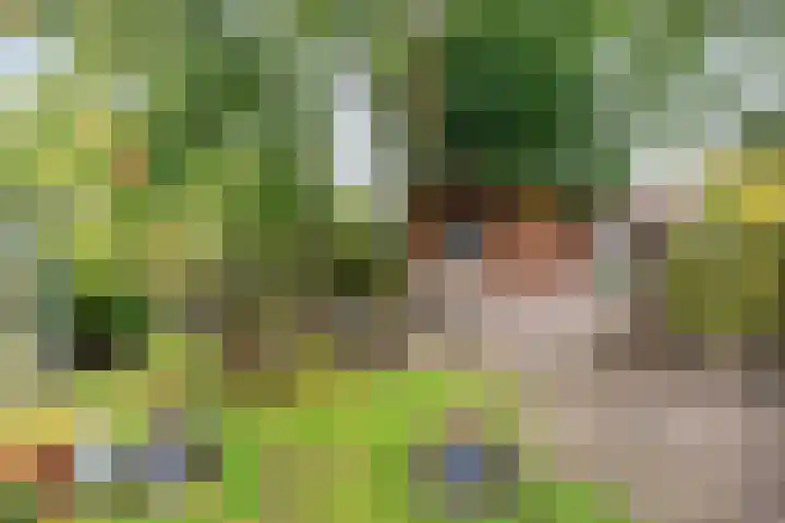 Patrijs 16 Grijpskerk thumbnail 29
